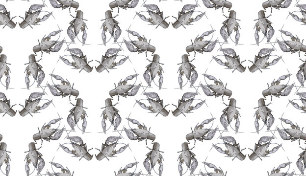 Seamless pattern with crayfish on white background. Endless crawfish texture. Raster illustration.