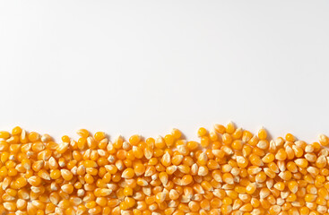 Dried corn kernels placed on white background with copy space. Corn for popcorn.
