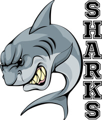 Naklejka premium Sharks Mascot Illustration