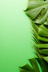 Animation of green lush leaves over green background with copy space