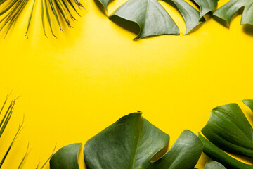 Animation of green lush leaves over yellow background with copy space