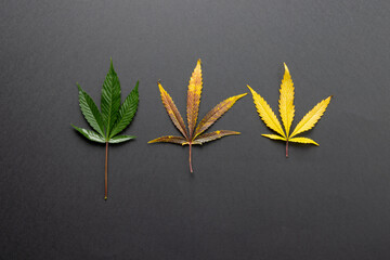 Image of marihuana leaves lying on grey surface