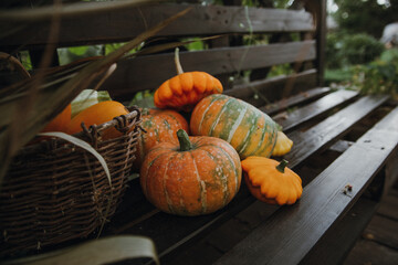Still life with a variety of pumpkins and seasonal vegetables and fruits. Autumn season.