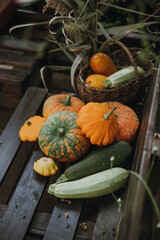Still life with a variety of pumpkins and seasonal vegetables and fruits. Autumn season.