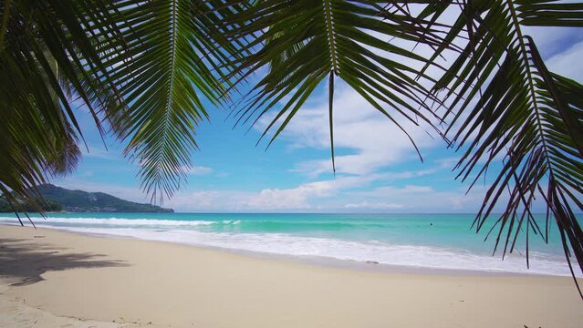 Coconut tree leaf shadows sandy clouds good summer. Palm seaside resort. Beach sea sky sun. Tropical Palm tree island summer paradise. Text space area. no people.