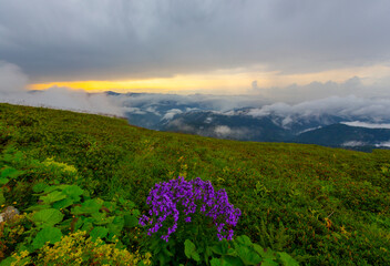 A lake in the mountains, natural landscape, green meadows, snowy mountains, blue sky, winter...
