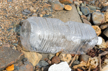 海辺のゴミ　漂流物
