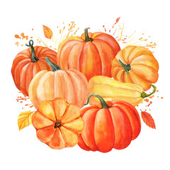 Beautiful composition of a pumpkin and autumn leaves, watercolor hand drawing illustration. Autumn harvest