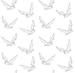 Vector seamless pattern of hand drawn doodle sketch bat isolated on white background