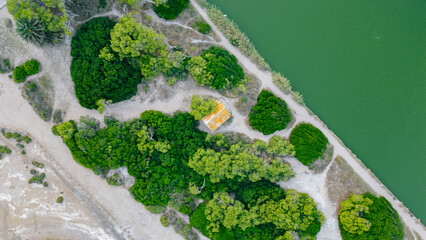 Trees, road and river photographed from above