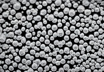 Illustration. Virus bodies, detailed macro view.