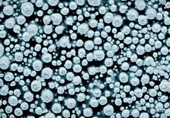 Illustration. Virus bodies, detailed macro view.