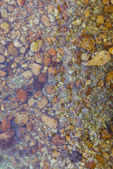 Fototapeta premium Overhead close up view of multiple brown pebbles and green calm water