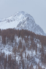 The snowy mountain of the Engadin, near the town of Sankt Moritz, Switzerland - March 2022