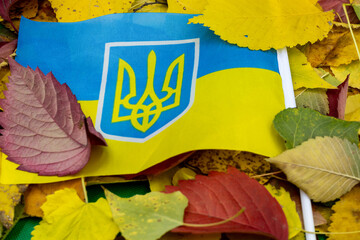 The national flag of ukraine against the background of autumn foliage. The onset of autumn in Ukraine