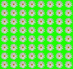 Floral wrapping paper design