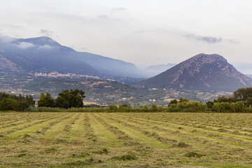 view between the hills of Capaccio, a Cilento town, from a plowed wheat field