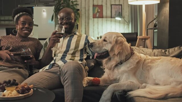 Medium long of happy Golden Retriever dog lying on couch, African American man petting animal, his young Black girlfriend sitting near, drinking wine