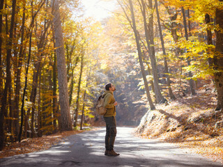 Young handsome man posing in autumn forest. young hipster guy with backpack , traveller standing in woods, Hiking, Forest, Journey, active healthy lifestyle, adventure, vacation concept.