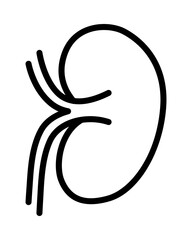 Human internal organs flat line icon. Anatomy symbols. Outline sign mascara for mobile concept and web design, store