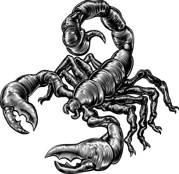 Scorpion Tattoo Stickers for Sale | Redbubble