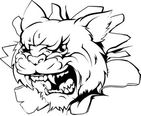 Obraz premium Attacking wildcat head