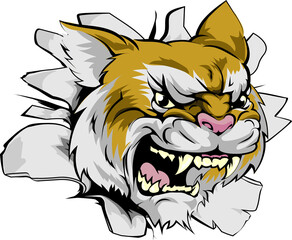 Wildcat head coming through wall