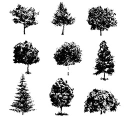 手書きスケッチの樹木の立面添景（ベクター素材）	
