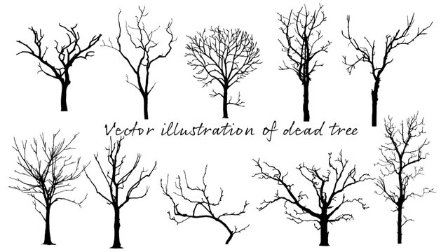 手書きスケッチの枯れ木の立面添景（ベクター素材）	