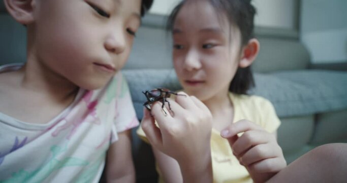 children having fun with insects