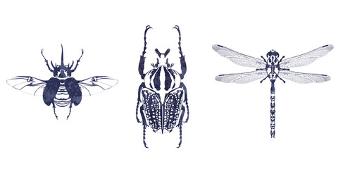 dessin d'insectes à l'encre sur fond blanc - obrazy, fototapety, plakaty