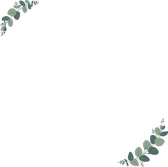 Greenery Eucalyptus vector