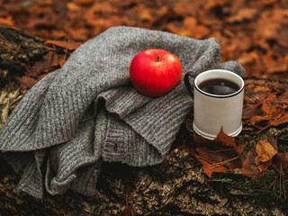 Jesienny dzień, jesienny klimat, herbata w lesie 