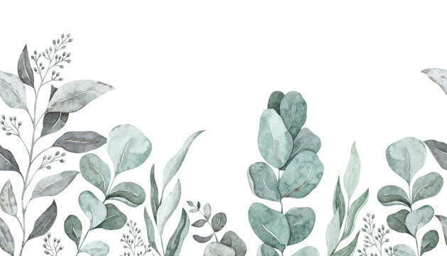 Watercolor seamless border with eucalyptus. Tender repeatable frame with foliage © Liubov