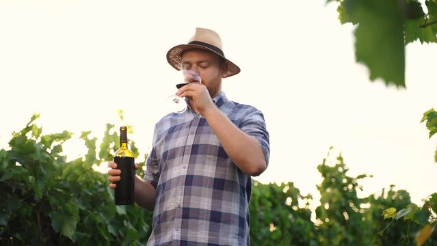 Authentic shot of happy successful male winemaker is tasting a flavor and checking red wine quality poured in transparent glass on vineyards background at sunset.