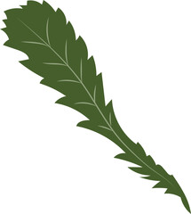 Daisy leaf_vector