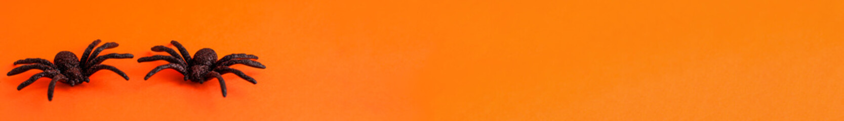 Flat lay banner of two black horror spiders of different sizes directions on orange on the left backdrop with copy space. Halloween decoration spooky background concept for holidays