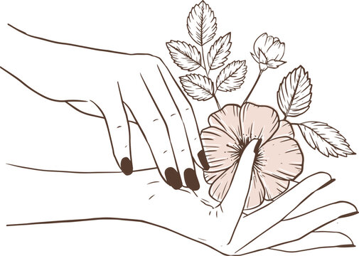 Manicure Pedicure_hands And Flower Handdrawn Line