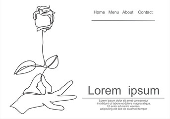 Continuous line drawing hand holding rose flower minimalist