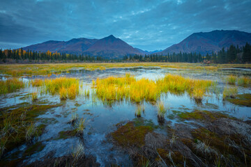 Landscape with swamp and mountains in twilight, Wrangell St Elias National Park, Alaska