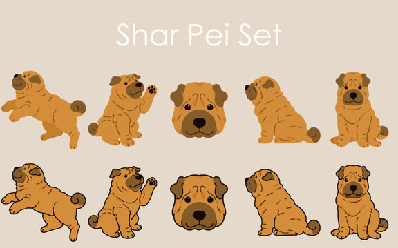 Simple and adorable Shar Pei Dog illustrations set