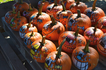 Halloween colorful decorated pumpkins with faces collection at farm shop.