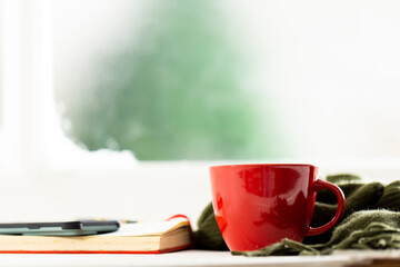 Cup of hot coffee and book over frozen and snowy window