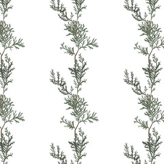 Christmas pattern with fir, pine fir branches, hand drawn vector illustration, winter holiday background