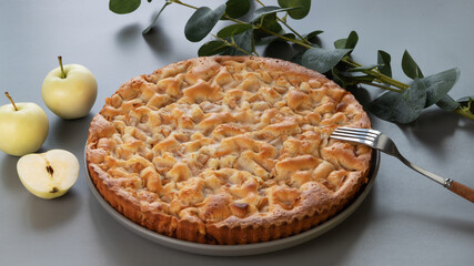 homemade apple pie on a grey background in a gray plate with yellow apples and fork