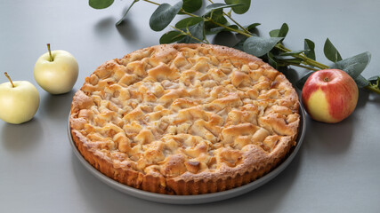 homemade apple pie on a grey background in a gray plate with yellow and red apples