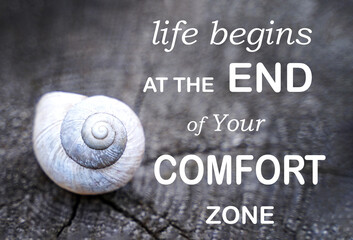 Life begins at the end of your Comfort Zone. White shell. Motivation inspiration for development....