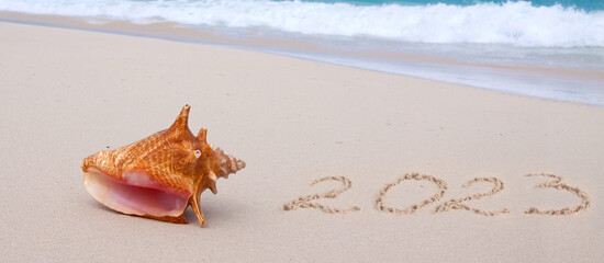 New Year 2023 is coming concept on tropical beach with seashell