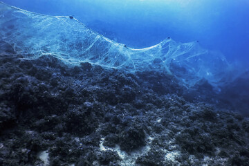 A fishing net underwater fixed on the seabed