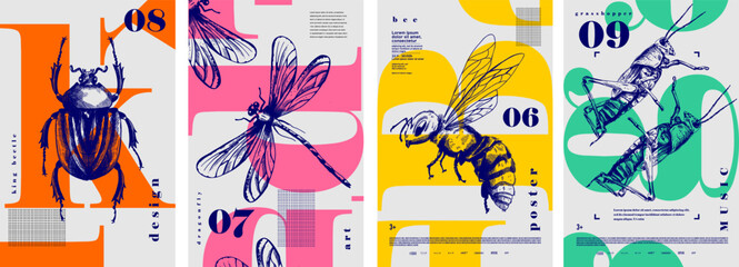 Beetle, dragonfly, bee, grasshopper. Set of vector posters with insects. Engraving illustrations and typography. Background images for cover, banner, poster. T-shirt print. - obrazy, fototapety, plakaty